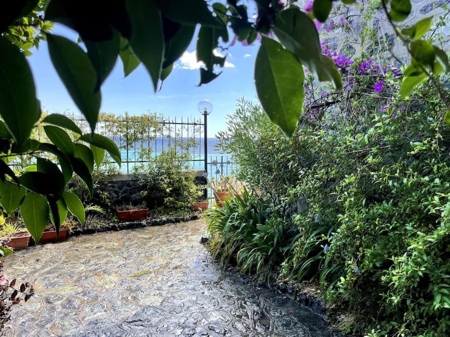 Ocean View Villa With Fast Wi-Fi And Elevator To Town Levanto Exterior foto
